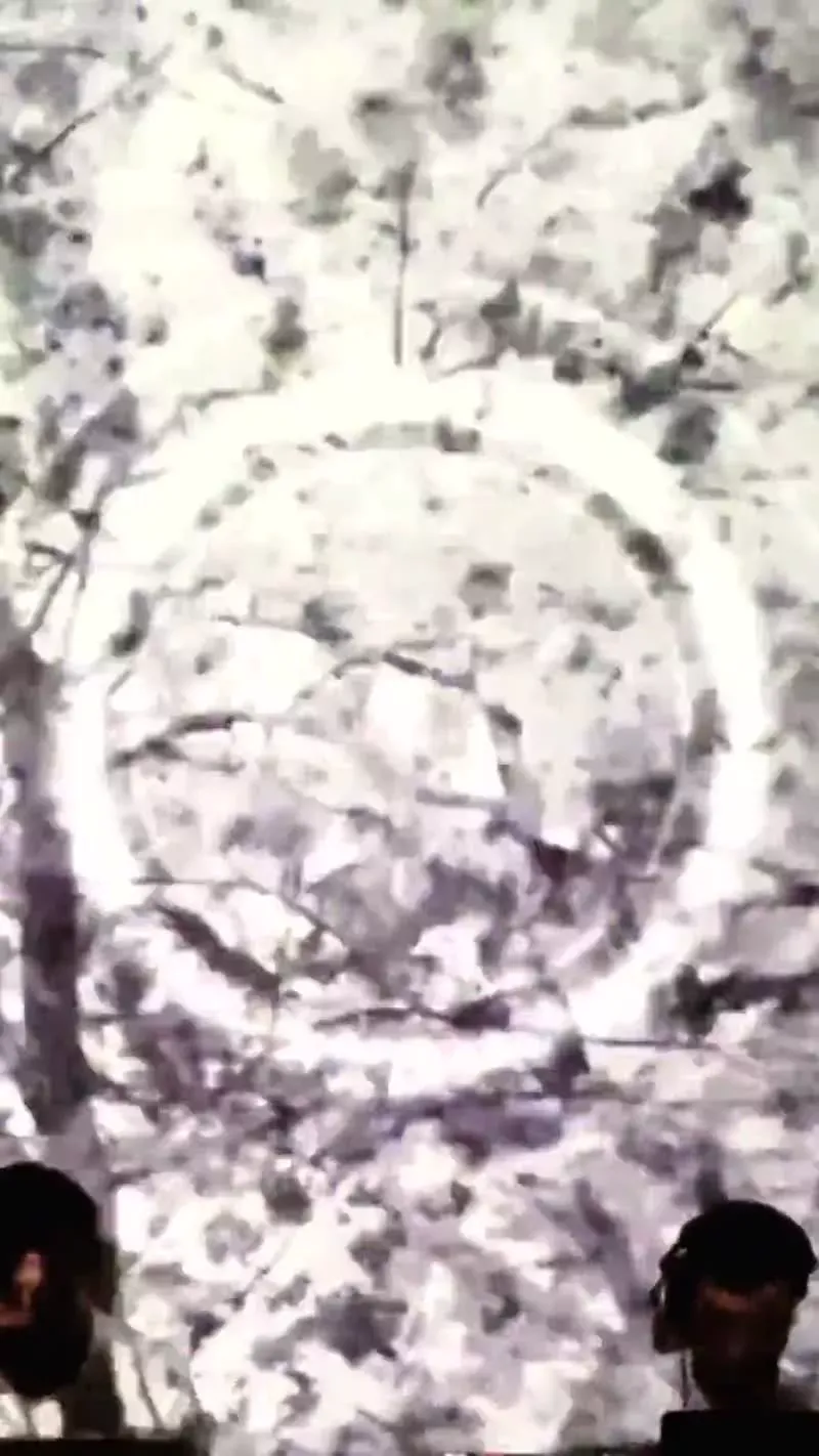 D and Ly Ot 301 Yt Reel S 1965 3905361a2a